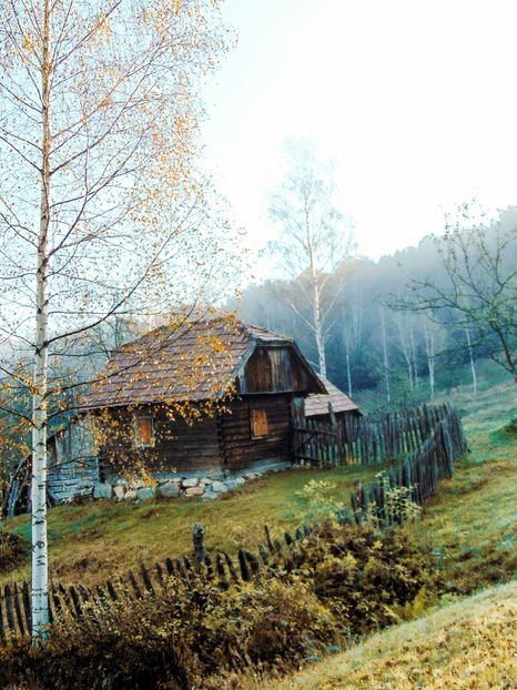  - Photo 04 - Toamna