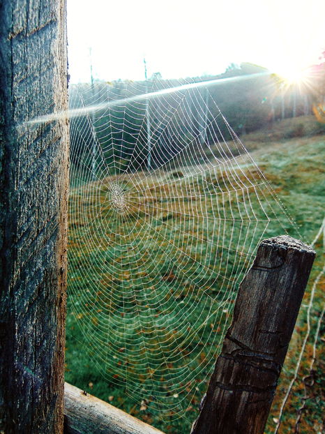  - Photo 04 - Toamna