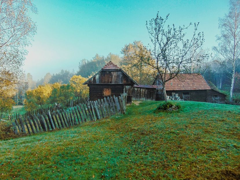  - Photo 04 - Toamna