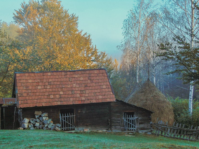  - Photo 04 - Toamna