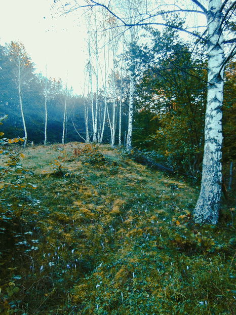  - Photo 04 - Toamna
