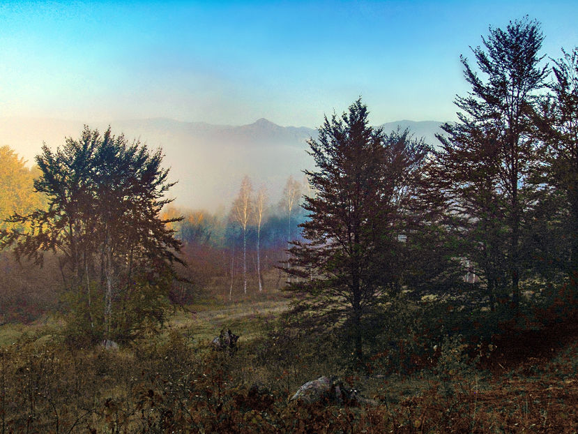  - Photo 04 - Toamna