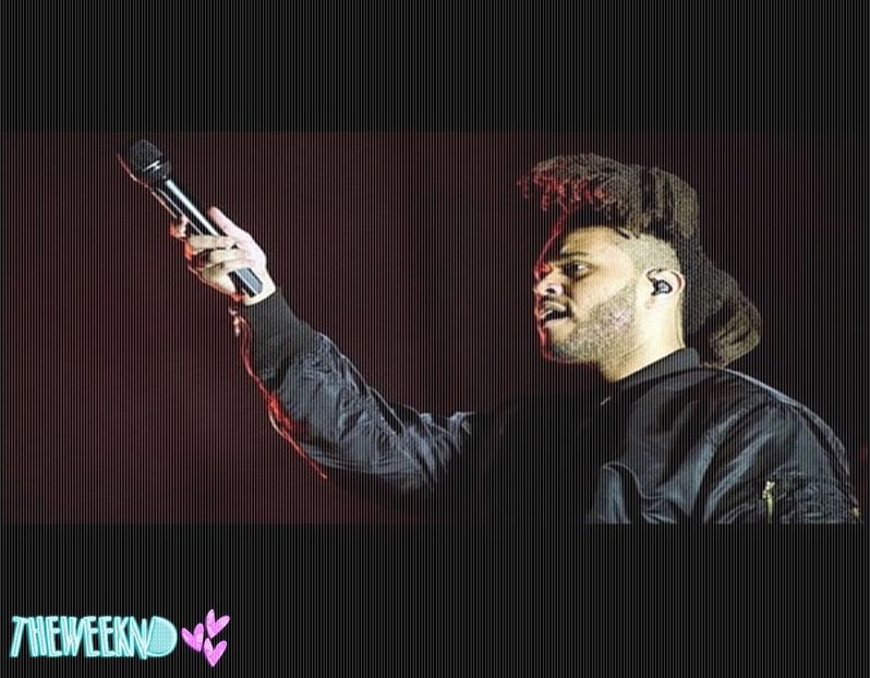 ☪ 11.11.2016 │ day 468 ϟ