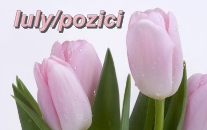 Iulypozici