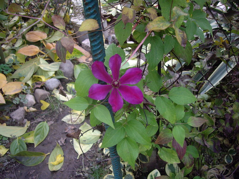IMGP0096