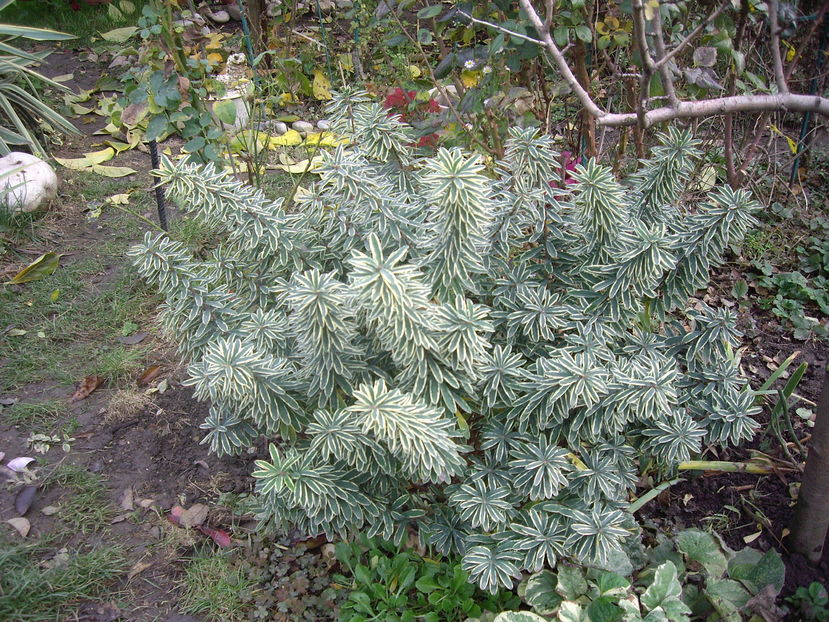 IMGP0102