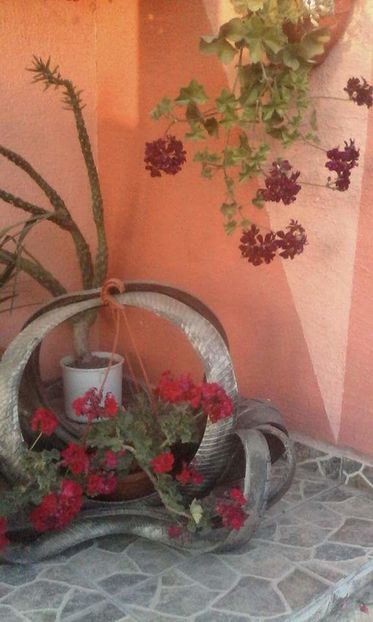  - flori din gradina