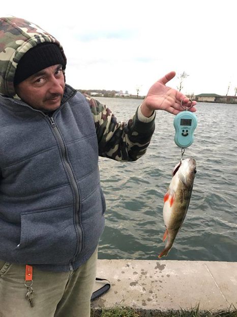 15049886_1750299921901286_1177994590_n