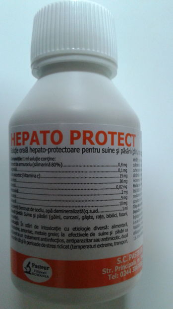 HEPATO PROTECT 100 ML 10,5 RON - HEPATO PROTECT 100 ML - 10 RON SI 50 DE BANI