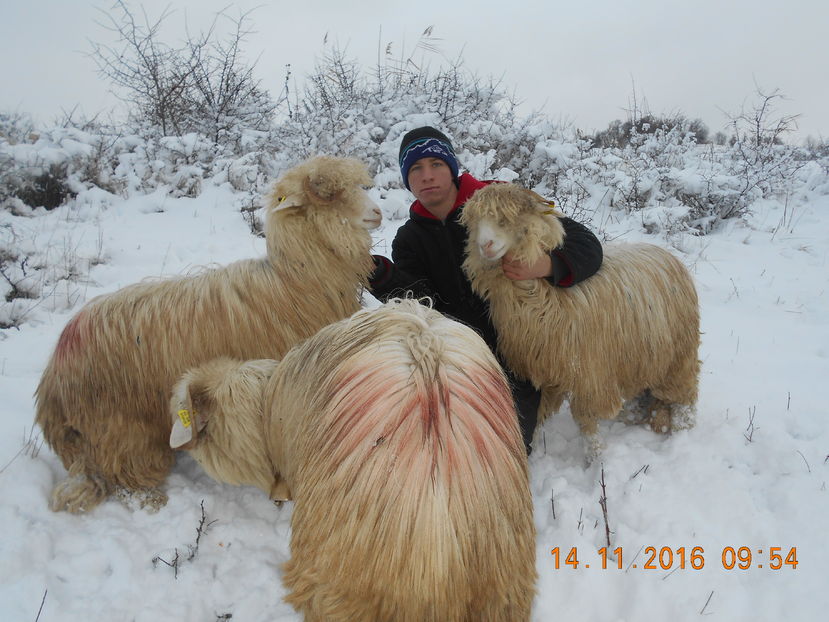 Picture 003 - Mielute 2015-2016-2017