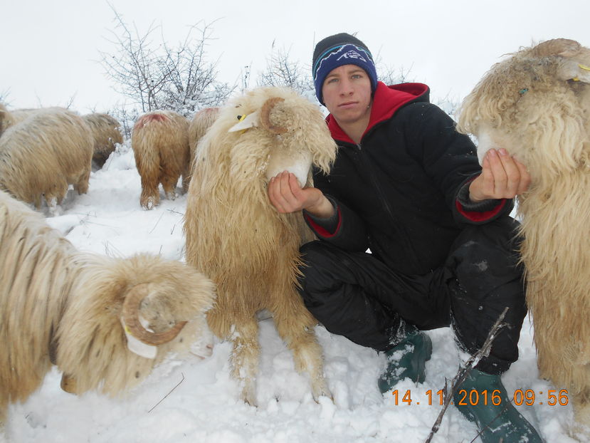 Picture 009 - Mielute 2015-2016-2017