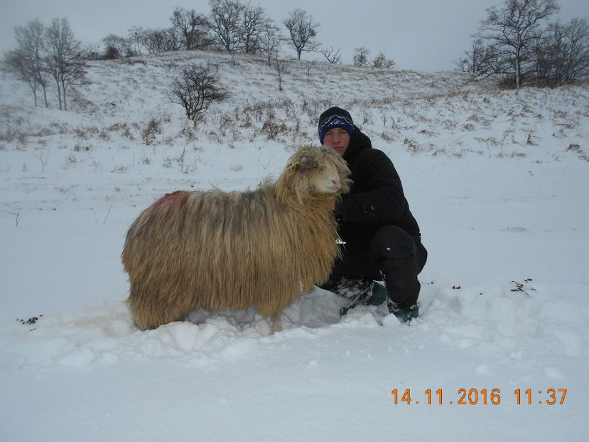 Picture 136 - Mielute 2015-2016-2017