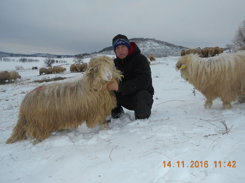 Picture 141 - Mielute 2015-2016-2017