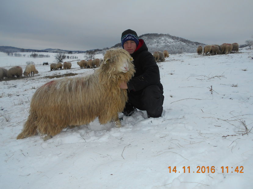 Picture 142 - Mielute 2015-2016-2017