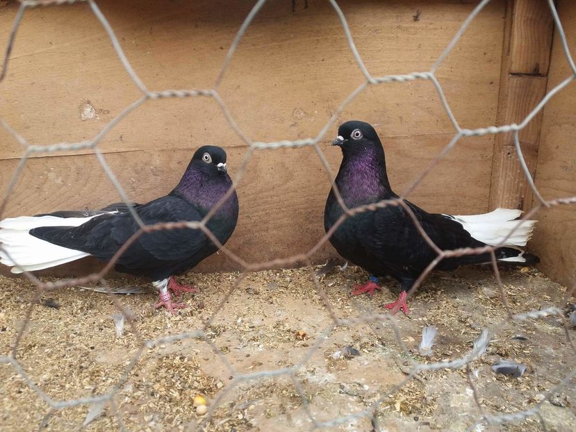 received_586153578241742