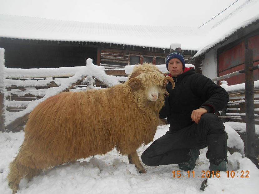 Picture 028 - Berbeci 2016-2017