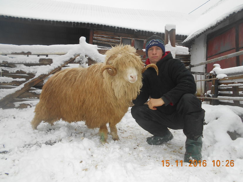 Picture 032 - Berbeci 2016-2017