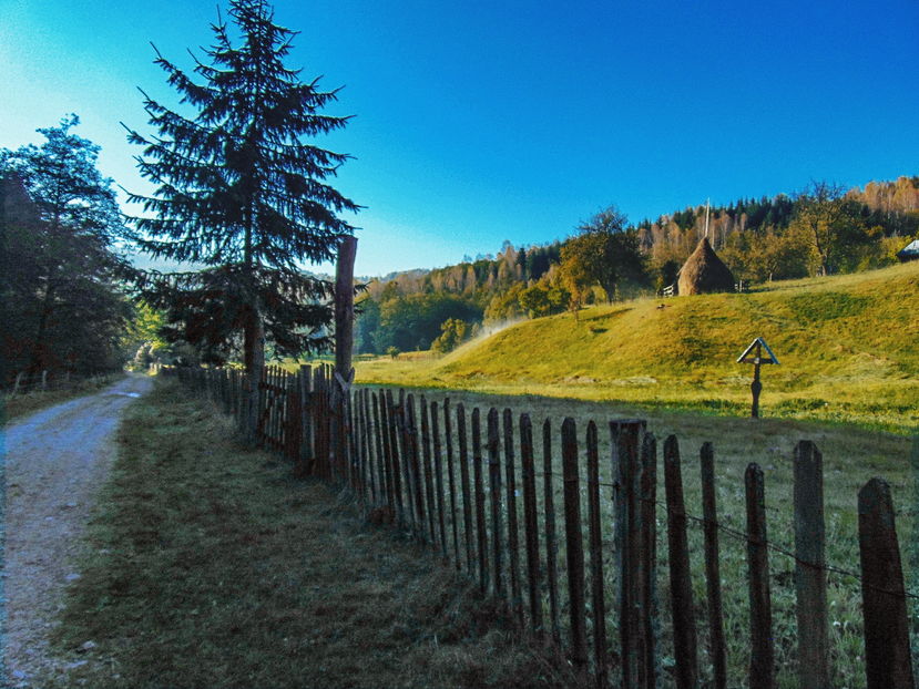  - Photo 04 - Toamna