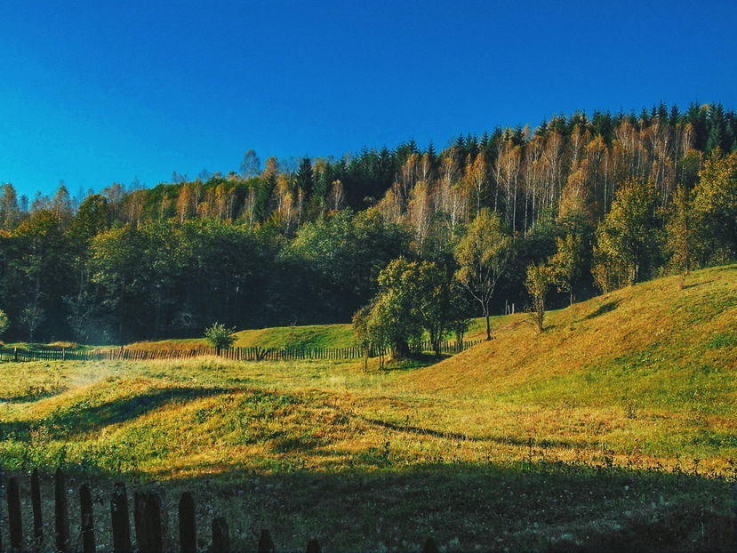  - Photo 04 - Toamna