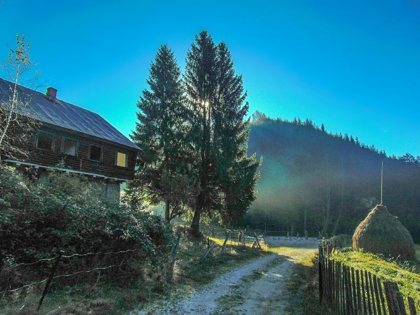  - Photo 04 - Toamna