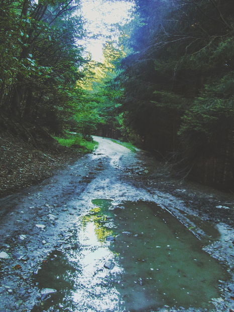  - Photo 04 - Toamna