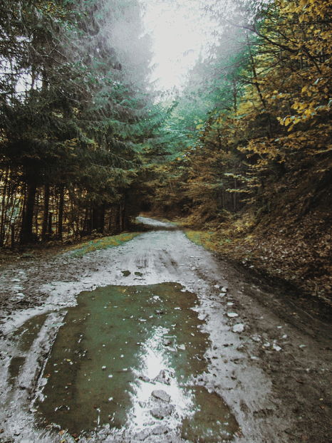  - Photo 04 - Toamna
