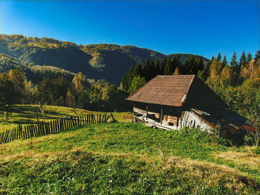  - Photo 04 - Toamna