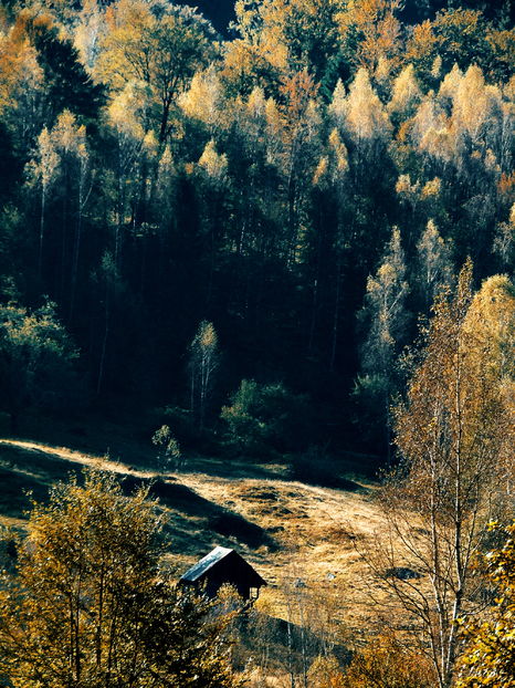 - Photo 04 - Toamna