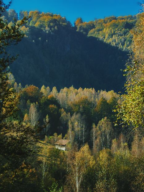  - Photo 04 - Toamna