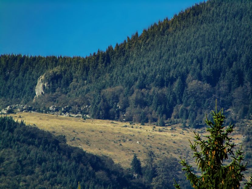  - Photo 04 - Toamna