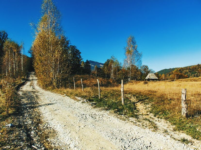  - Photo 04 - Toamna