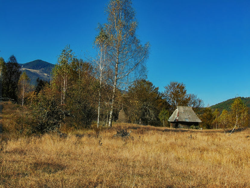  - Photo 04 - Toamna