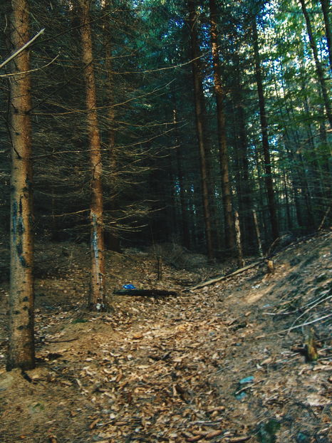  - Photo 04 - Toamna