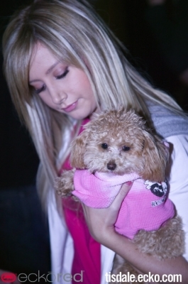 normal_114 - Ashley Tisdale