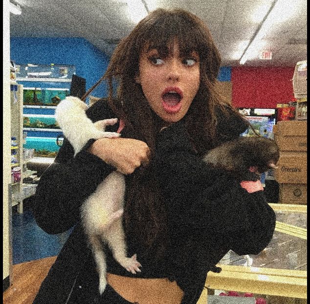 16.11 ·♡ ❝@fatherkels: ferret whisperer.❞