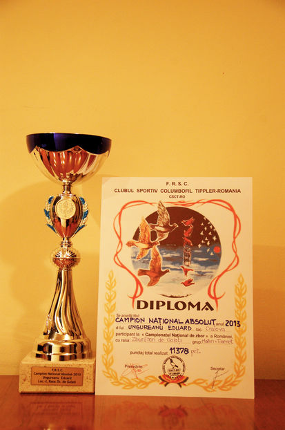 CAMPION NATIONAL ABSOLUT MATURI TINERET 2013 .