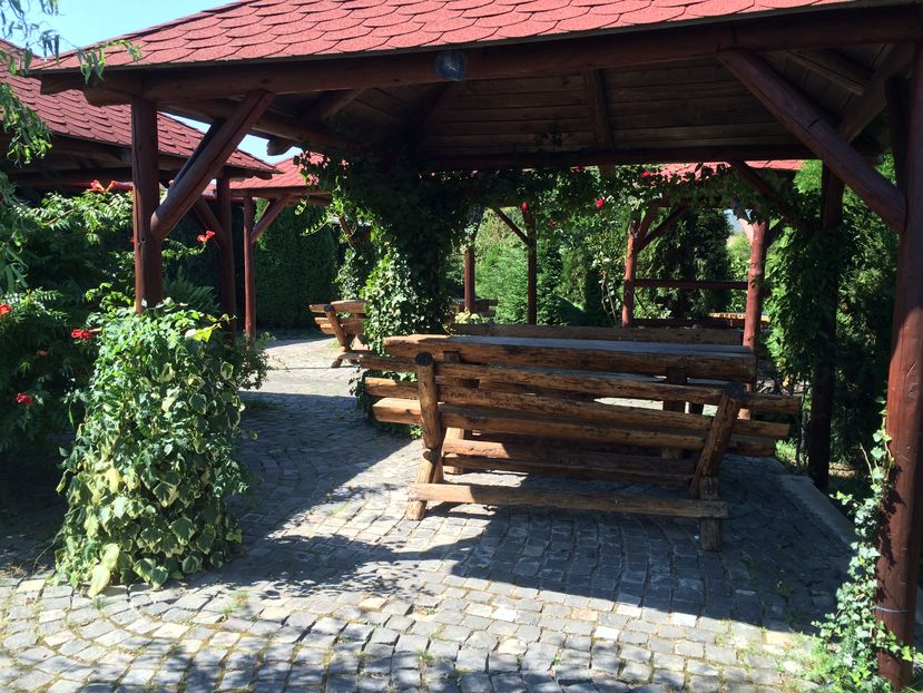 PENSIUNE DEALUL NADESULUI JUD.MURES-1