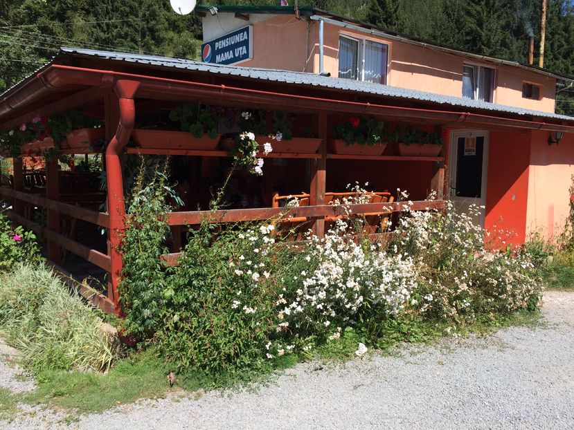 ARIESENI-POPAS MAMA UTA-1