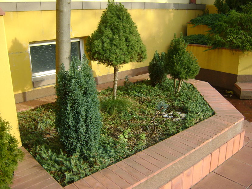 Mijloc de noiembrie in curte