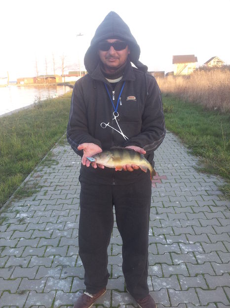 ; biban 34cm(900g)
