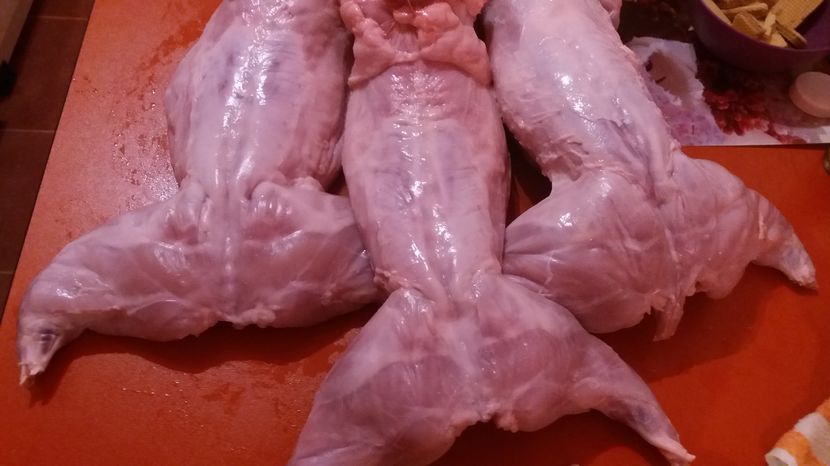 2,7-2,9kg fara organe, californian-6 luni