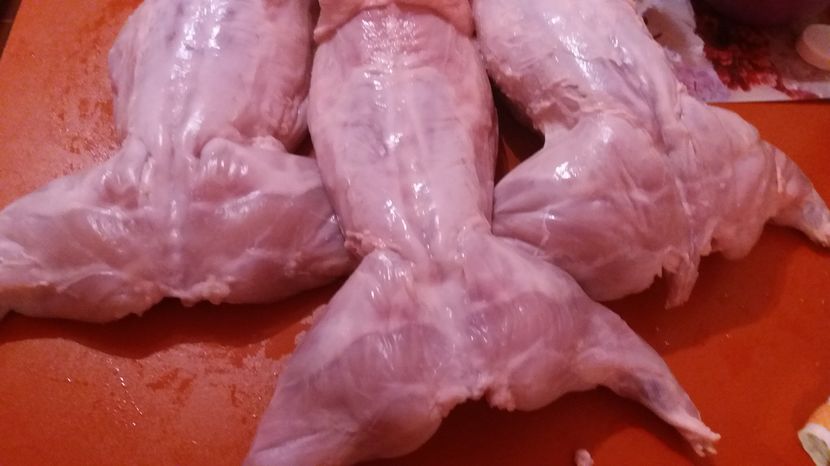 2,7-2,9kg fara organe, californian-6 luni