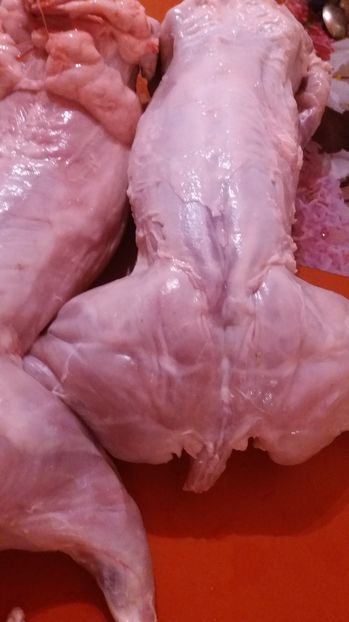 2,7-2,9kg fara organe, californian-6 luni