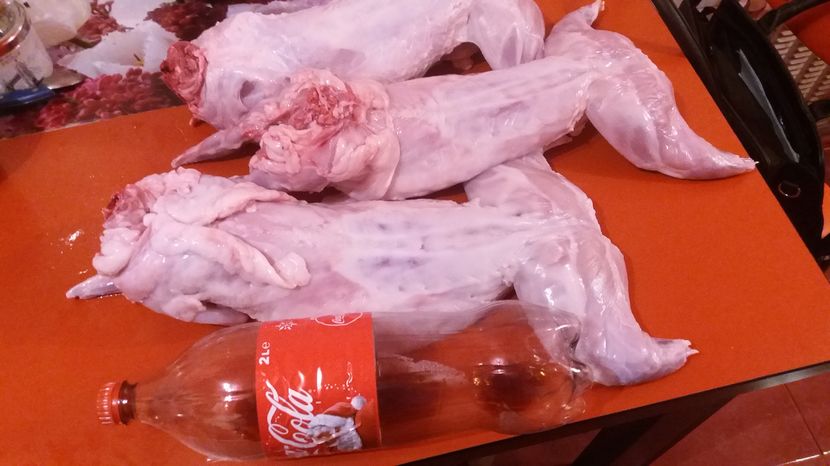 2,7-2,9kg fara organe, californian-6 luni