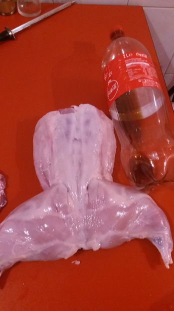 2,7-2,9kg fara organe, californian-6 luni