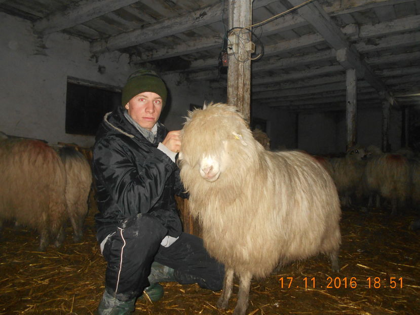 Picture 006 - Balele 2016-2017