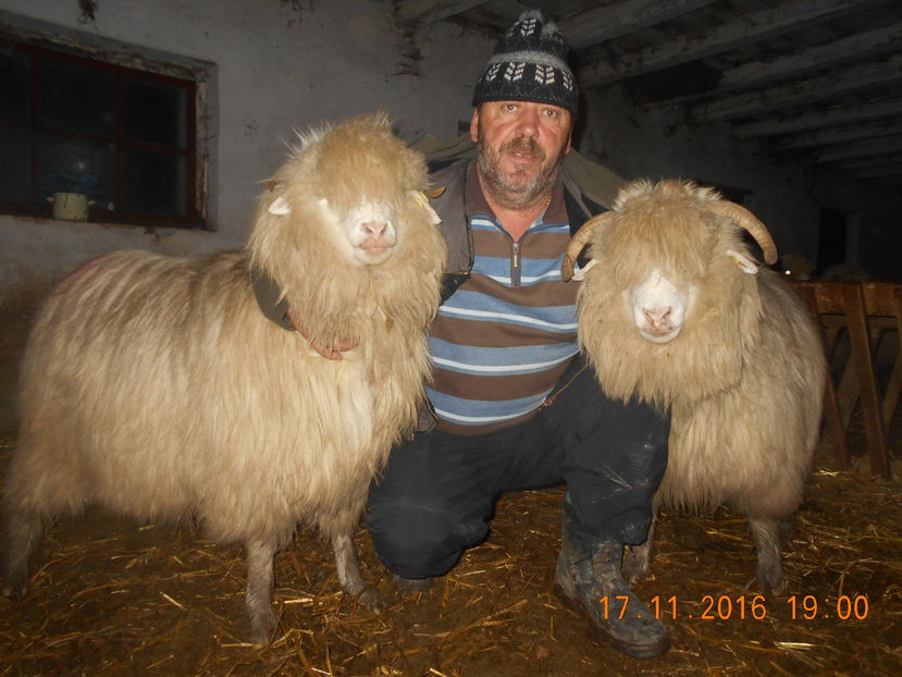 Picture 013 - Balele 2016-2017