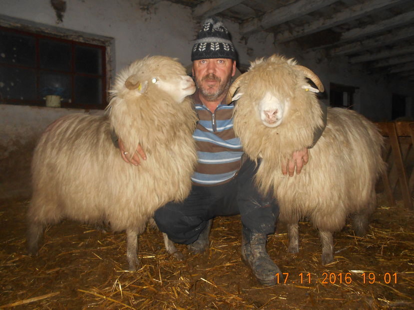 Picture 020 - Balele 2016-2017