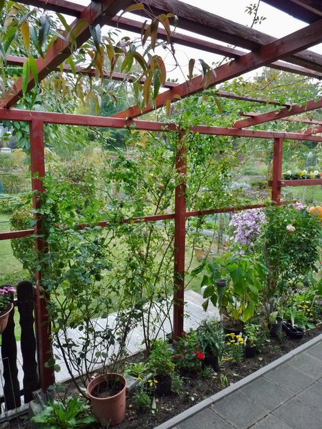 Sa vina primavara!; P2030670
