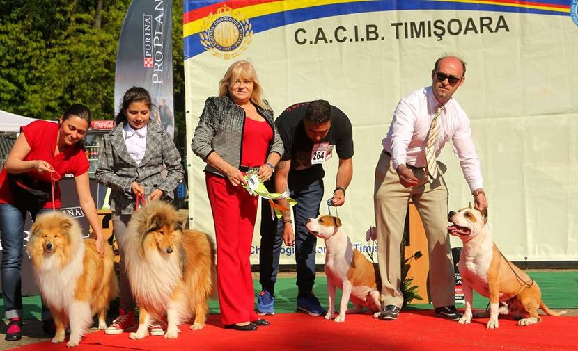 expo mai 2016 - Expoziti Canine